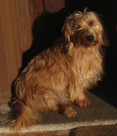 Roucky, devant la porte d'entrée, 2005